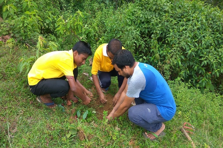 Jawahar Navodaya Vidyalaya-Plantations