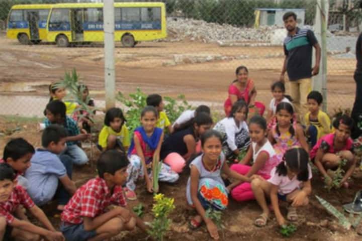 Sri Chaitanya Techno School-Tree-Plantation