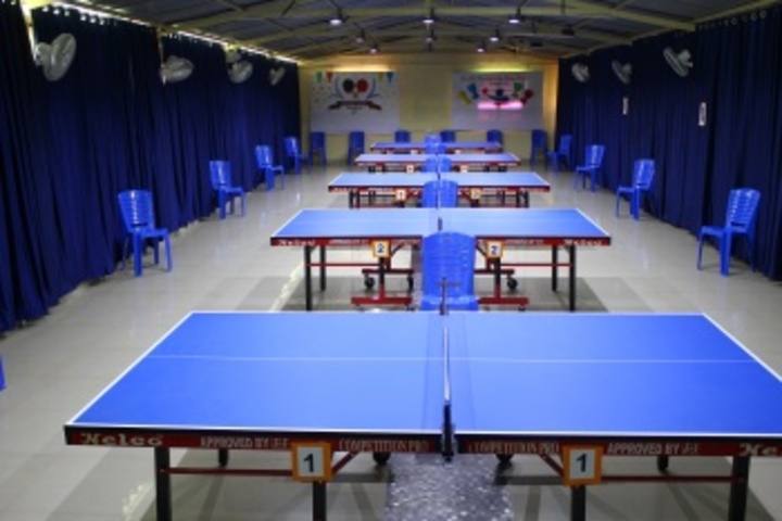 Sri Sri Ravishankar Vidya Mandir-Indoor Games