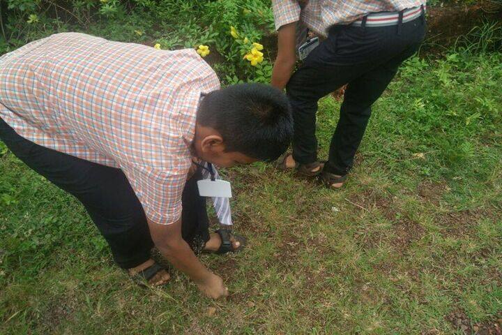St Marys Central School, Kinnigoli-Plantation