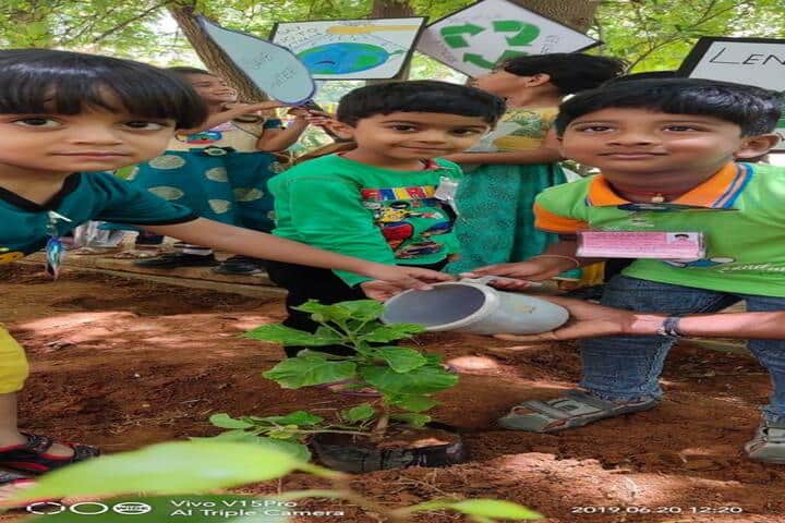 Vagdevi Vilas School-Tree Plantation