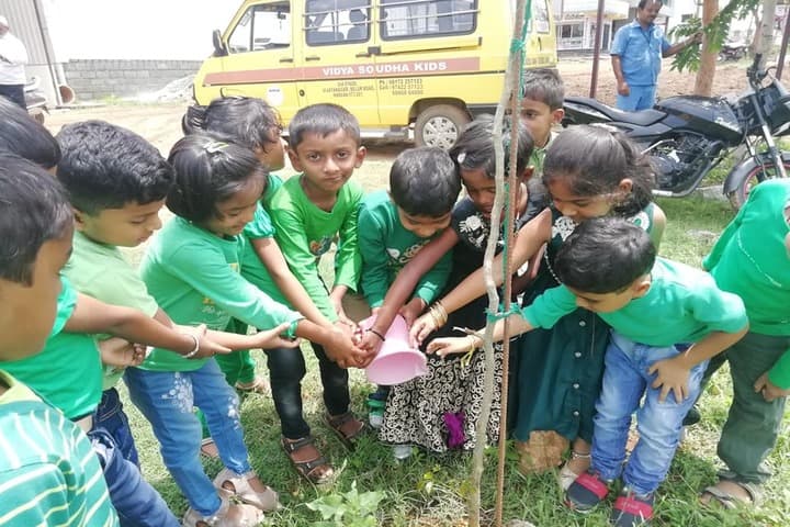Vidya Soudha Public School-Tree Plantatition