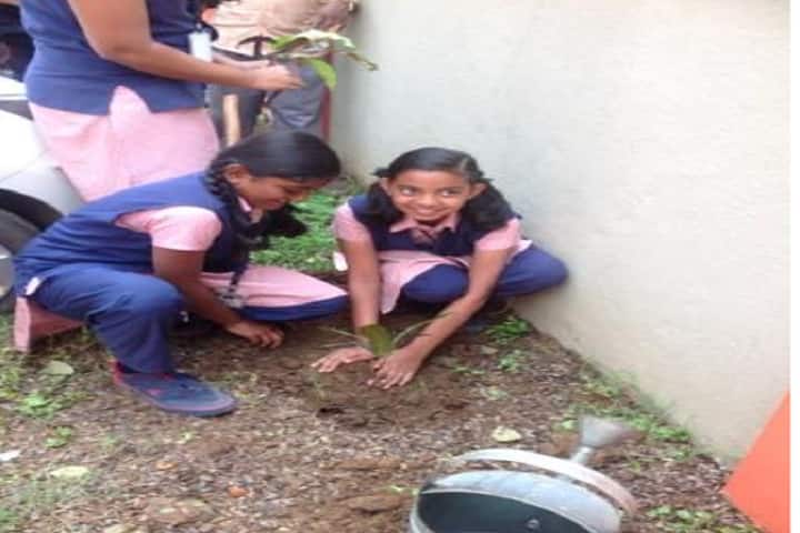 Vidyavardhaka Sangha B M Sri Educational Institutions-Environment Day