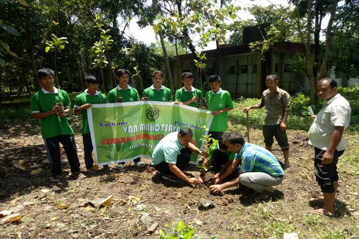 Tree plantation activity