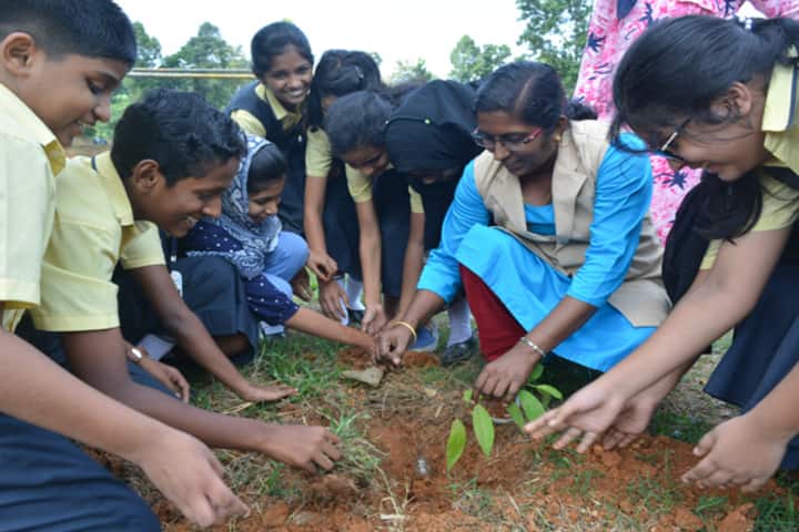 Alfeen Public School-Activity