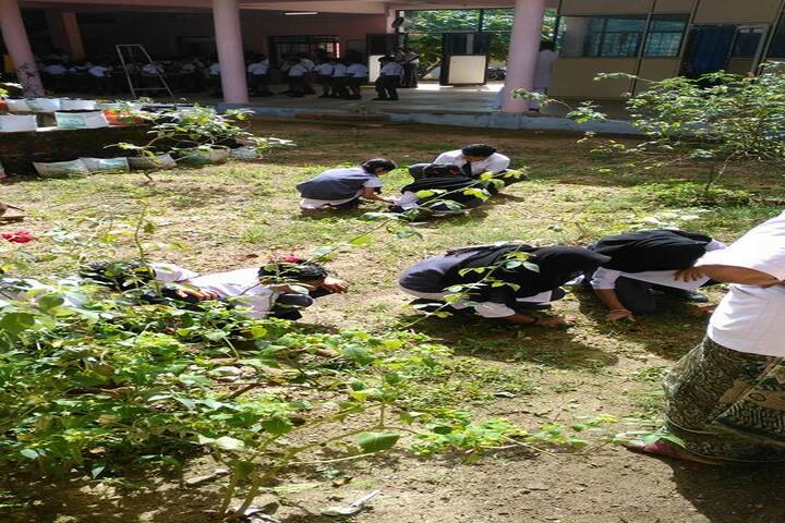 Alpha Public School-Plantation Activity