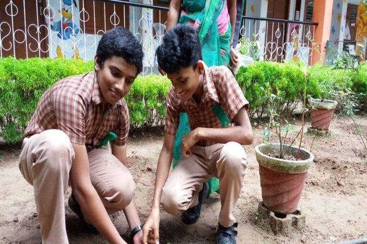 Amrita Vidyalayam-Plantation