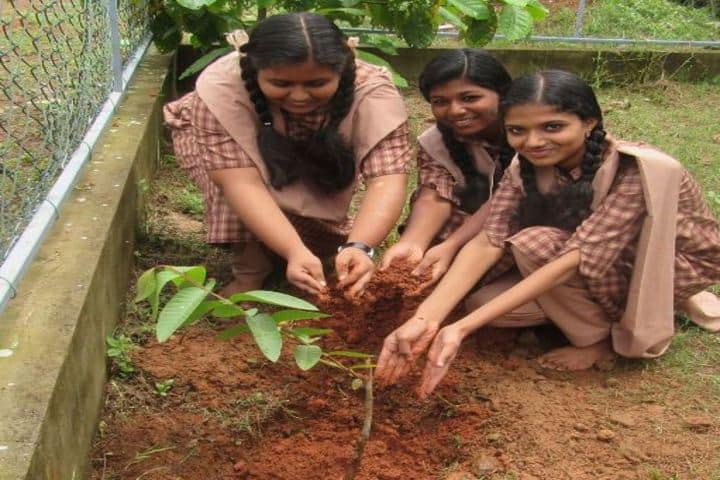 Amrita Vidyalayam-Plantation