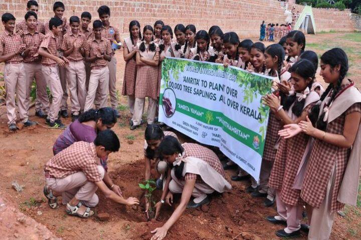 Amrita Vidyalayam-Plantation