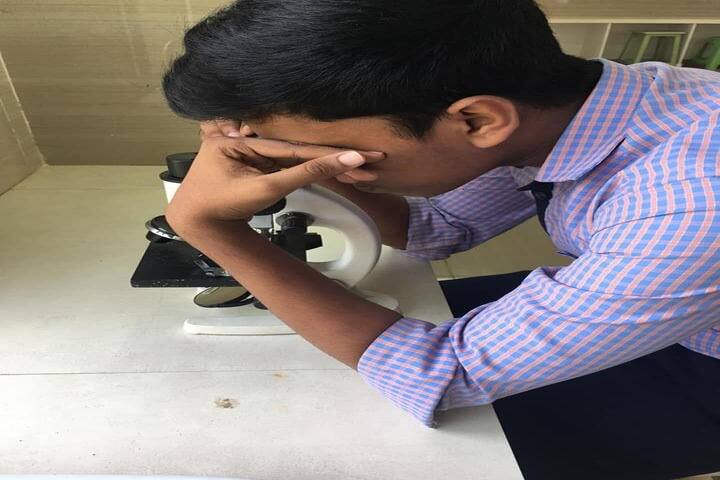 Bee Line Public School-Science Lab