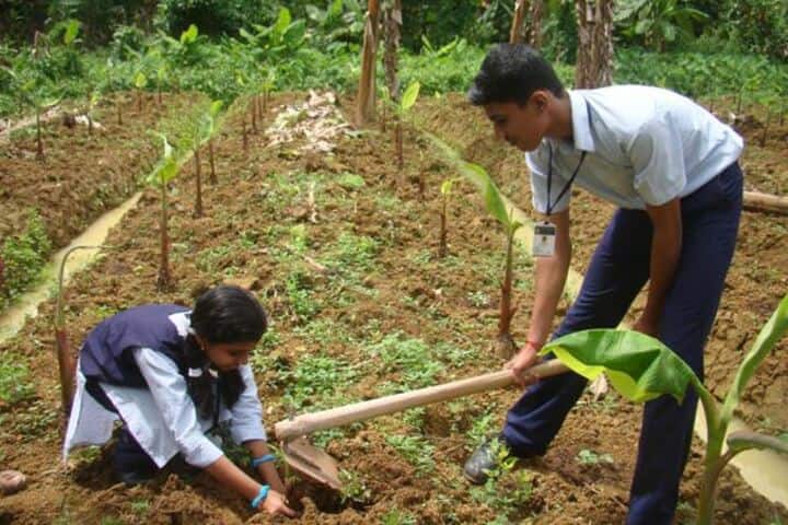 Bharatheeya Vidyapeedom Central School-Plantation
