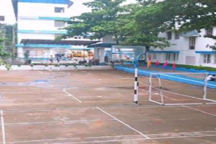Blue Mount Public School-Playground