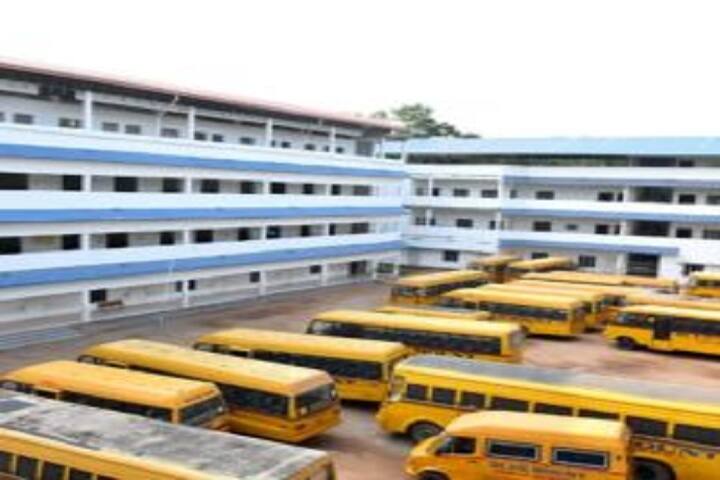 Blue Mount Public School-Transport