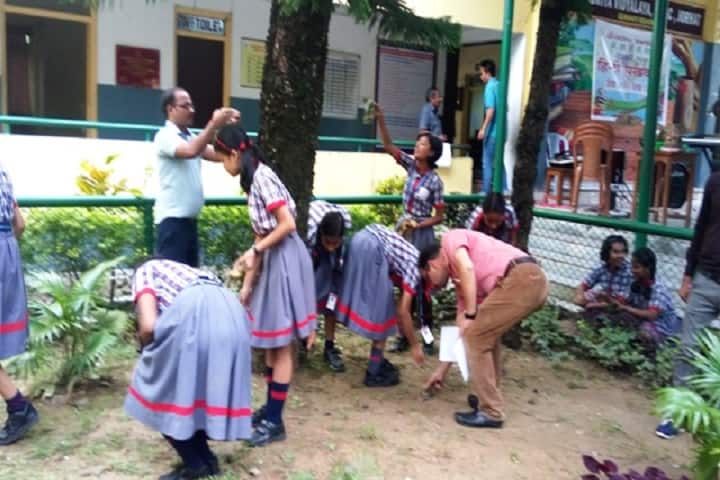 Kendriya Vidyalaya-Plantation