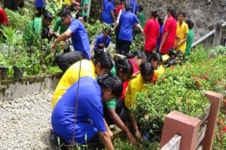 Carmel Convent English Medium School-Tree Plantation