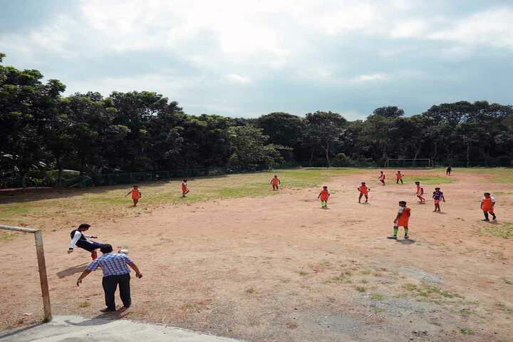 Carmel Public School-Play Ground