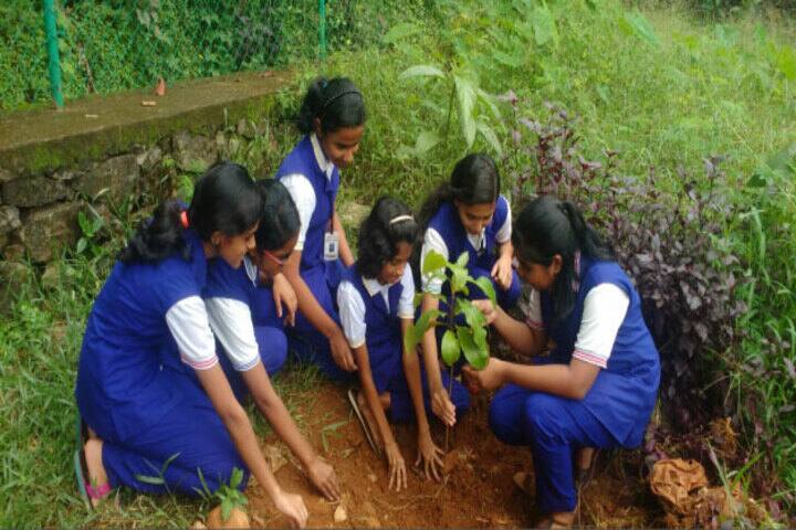 Carmel Public School-Tree Plantation