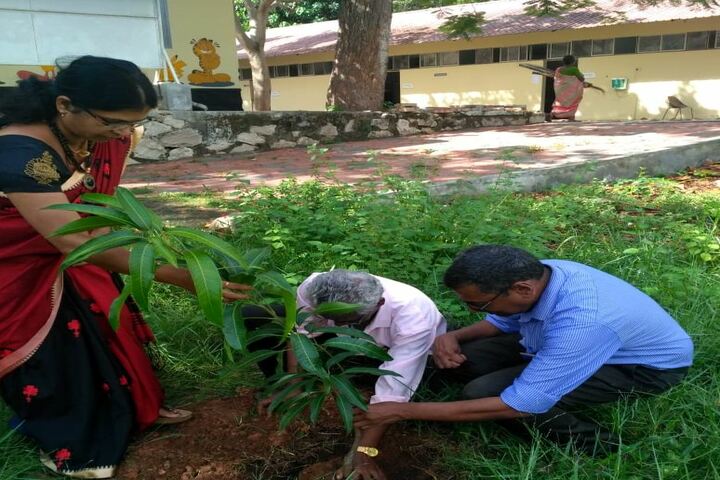 Chinmaya Vidyalaya-Tree Plantation