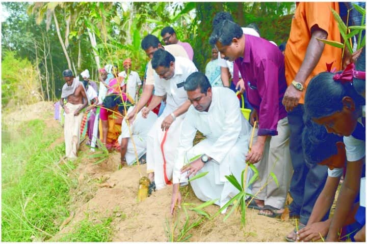 Christ Nagar Central School-Tree Plantation