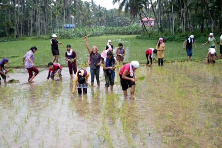 CMI Christ School-Field Work