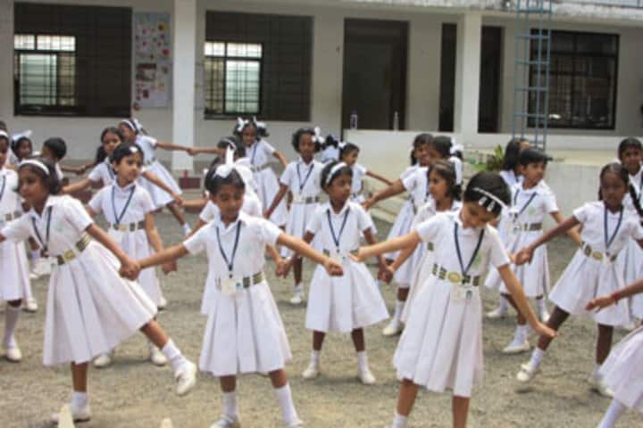 Co-Operative Public School-Activity