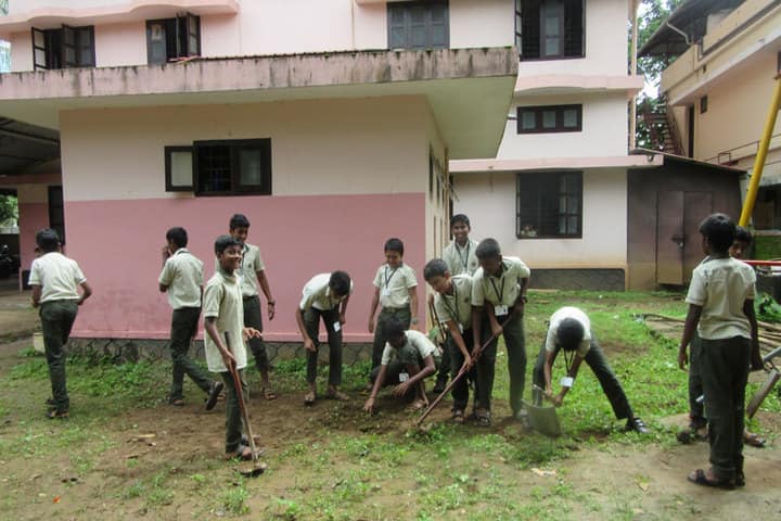 Co-Operative Public School-Tree Plantation