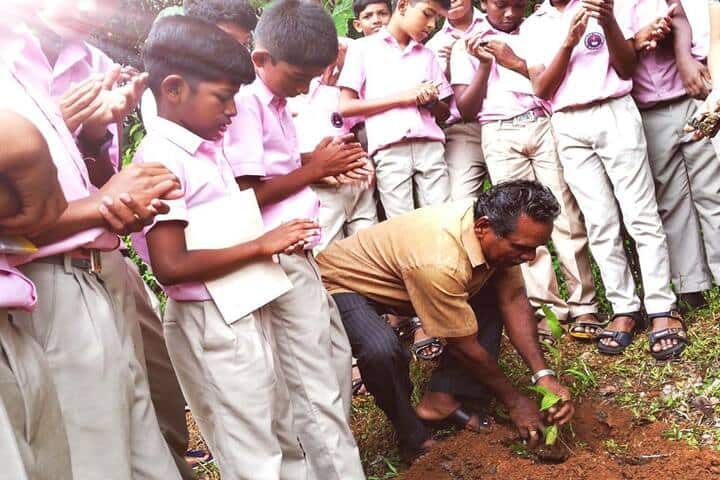 Cooperative Public School-Tree Plantation