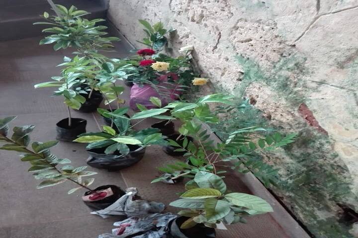 Darussalam English School-Environment Day
