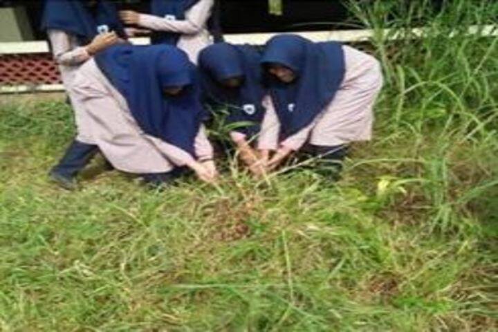 Darussalam English School-Swatch Bharath Activity