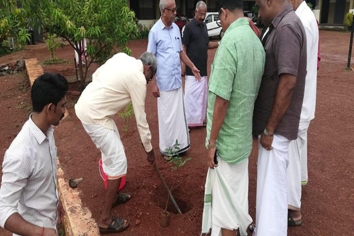 Darussalam English School-Tree Plantation