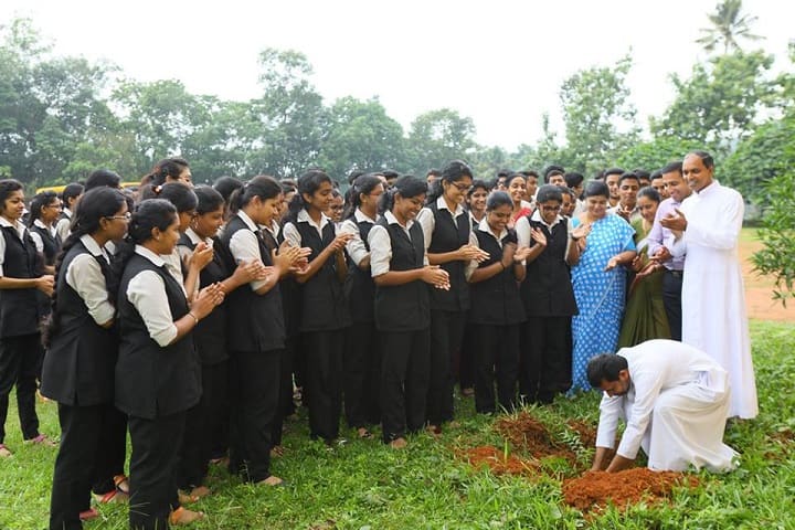 De Paul Public School-Tree Plantation