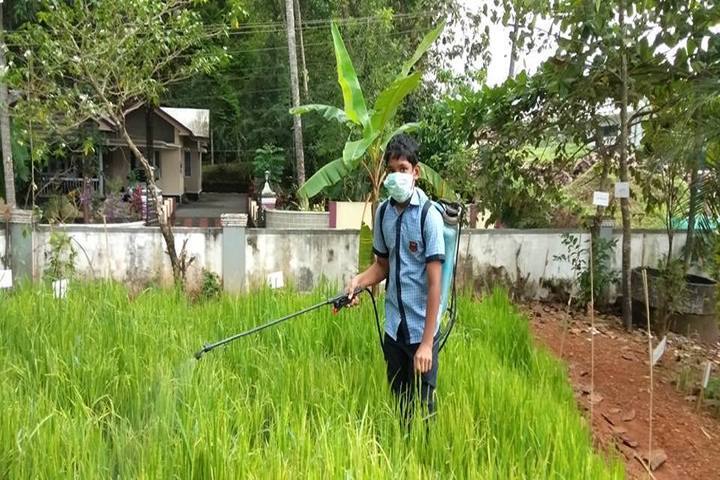 Hira Public School-Field Trip