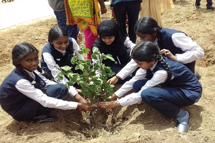 Jai Matha Public School-Plantation