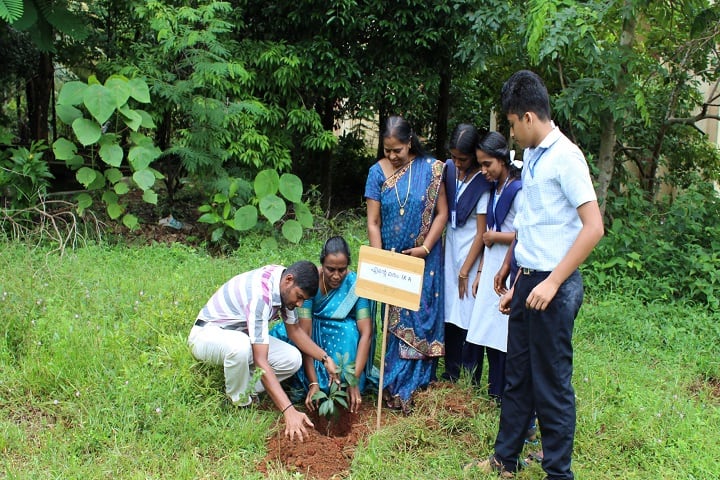 Jawahar Navodaya Vidyalaya-Plantation
