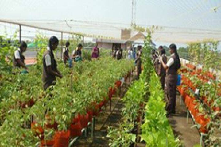 Jyothi Nikethan English Medium School-Environment Day