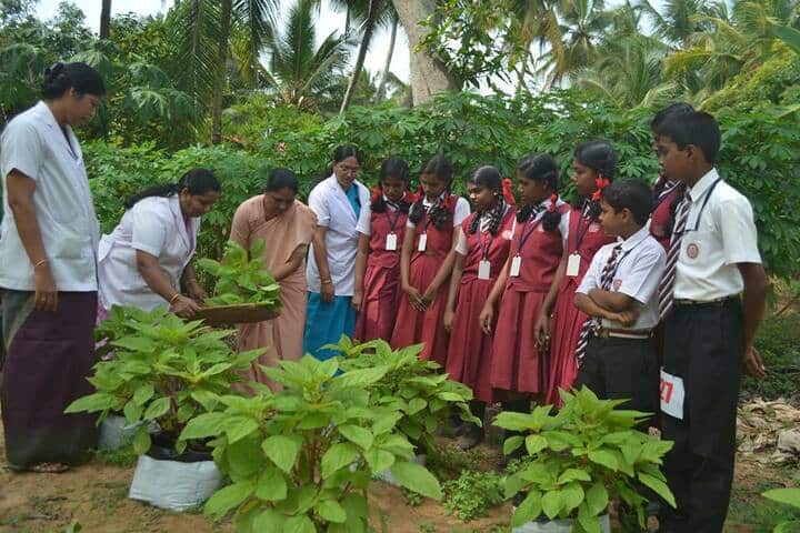 Jyoti Nilayam Secondary School-Plantation Day