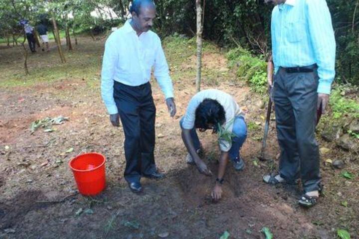 Kailasanadha Vidyanikethan-Plantation Day