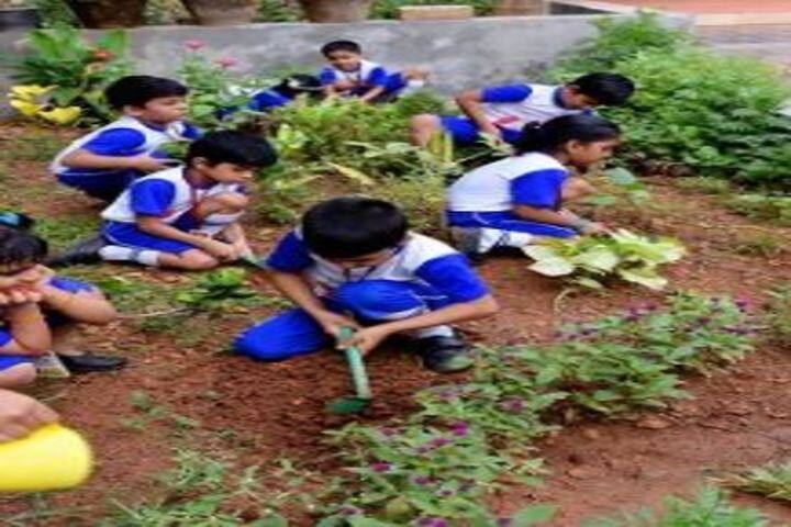 Kamb And M School Of Life International-Plantation