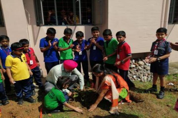 Kendriya Vidyalaya-Tree Plantation