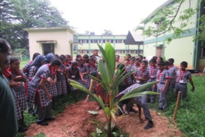 Kendriya Vidyalaya-Tree Plantation