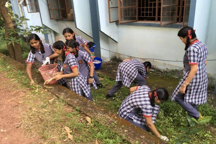 kendriya Vidyalaya-Swach Barath
