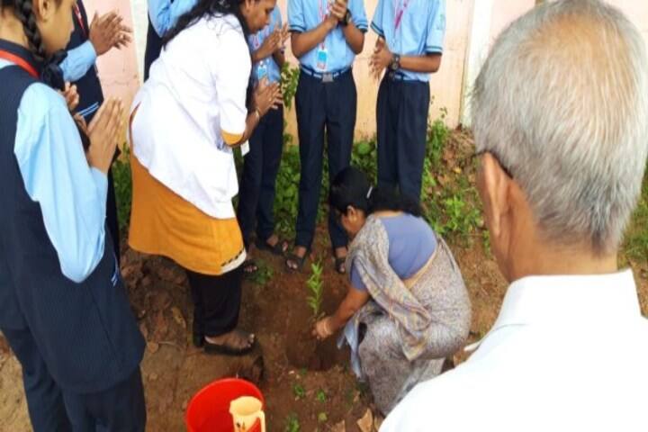 Le Mer Public School-Plantation Day