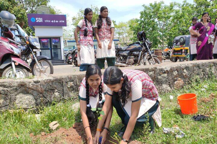 Lords Public School-Tree Plantation