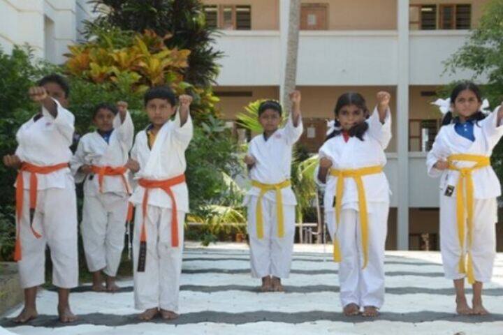 Mar Gregorios Memorial Central Public School-Karate Class