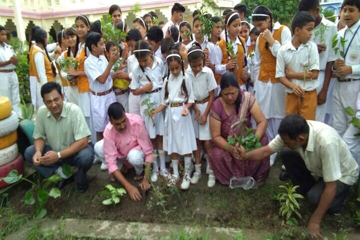 Maharshi Vidya Mandir- Environment Day