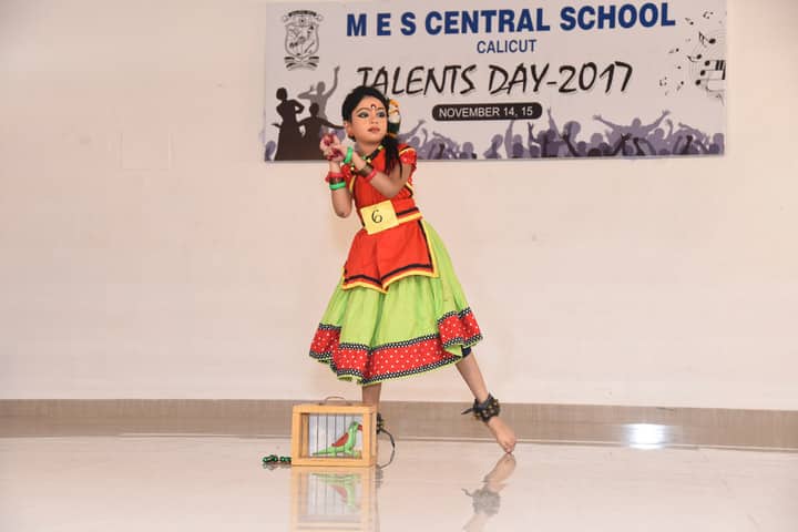 MES Central School-Activity