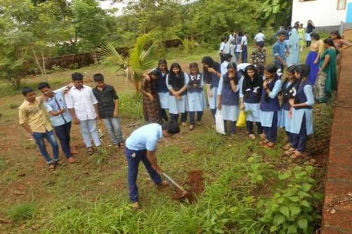 Modern English Medium School-Tree Plantation