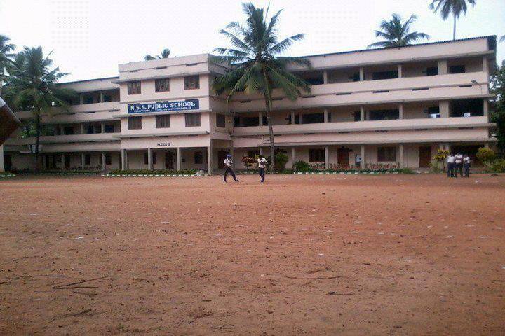 N S S Public School-Playground
