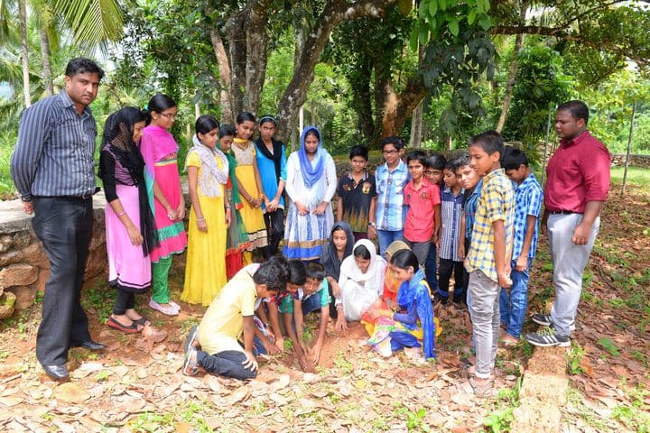 Parakkottil English Medium School Malappuram-Environment Day