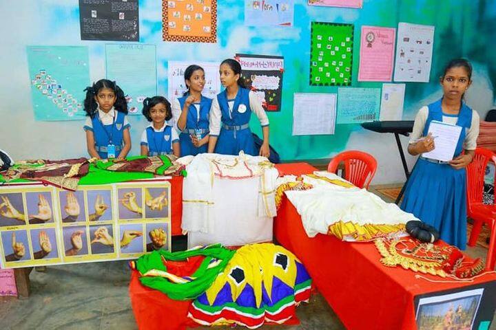 S N Vidya Bhavan Senior Secondary School-Exhibition day